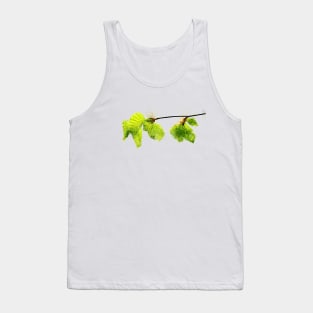 Beech leaves in May Watercolor Tank Top